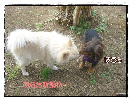 souther_20090331d