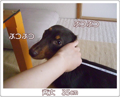 souther_20090604h
