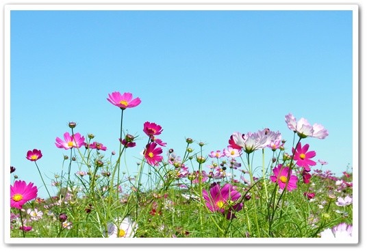 souther_20121128a