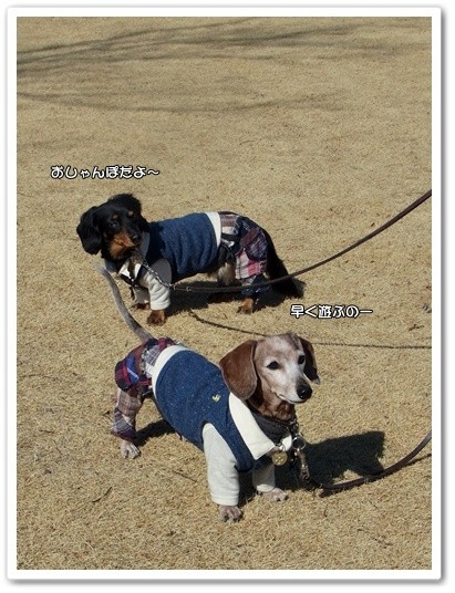 souther_20120317c