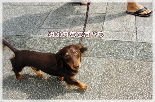 souther_20090926b