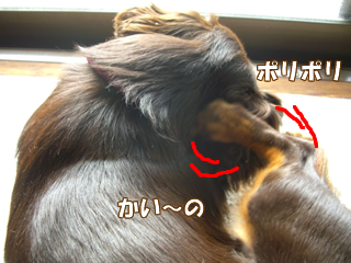 souther_20081115a