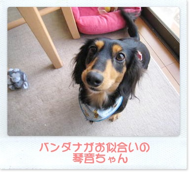 souther_20090226a