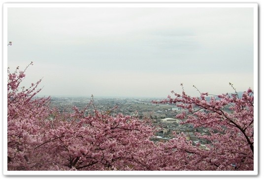 souther_20120410d