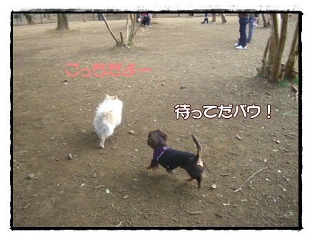 souther_20090331e