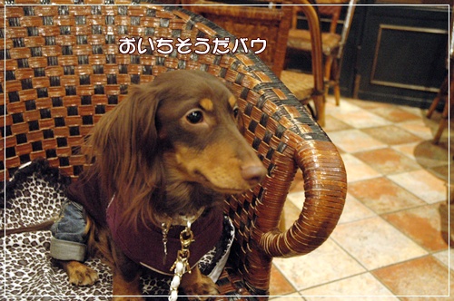 souther_20091121e