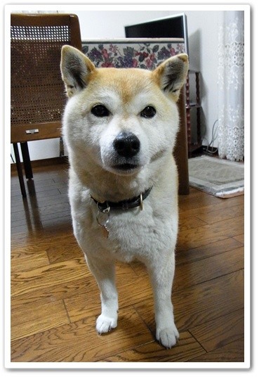 souther_201205011j