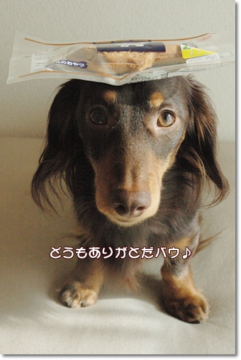 souther_20091224f