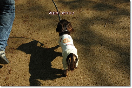 souther_20100428b
