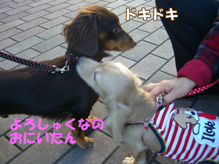 souther_20081121h