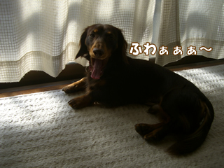 souther_20081227g