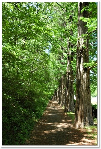 souther_20110518b