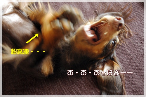 souther_20090929d