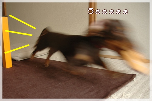souther_20090926g