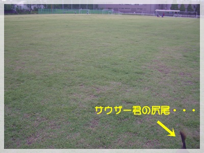 souther_20090827f
