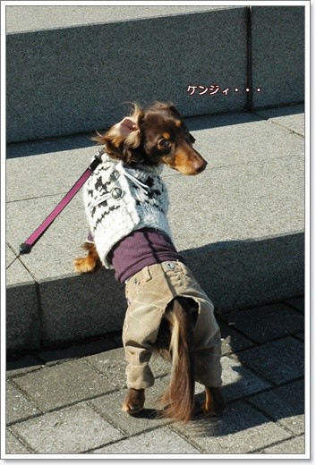 20110222c