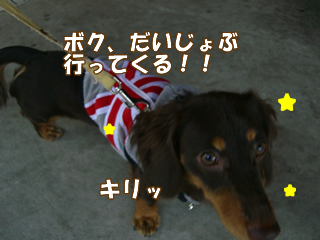 souther_20081106k