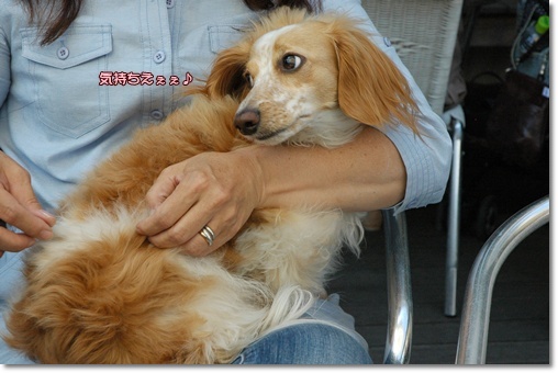 souther_20100608h