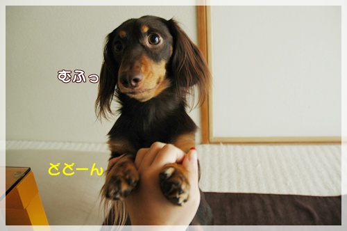 souther_20091108f