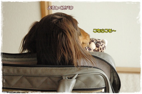 souther_20100214f