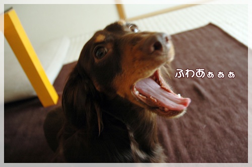souther_20091109h