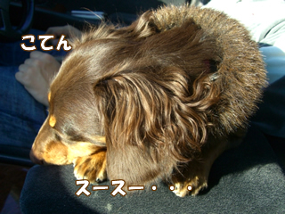 souther_20081201f