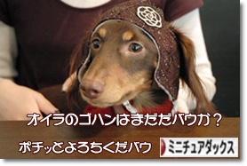 �ˤۤ�֥���¼ ���֥��� �ߥ˥��奢���å����ե�ɤ�