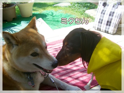 souther_20090831j