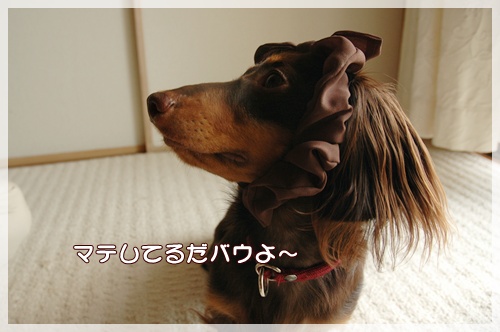 souther_20090926h
