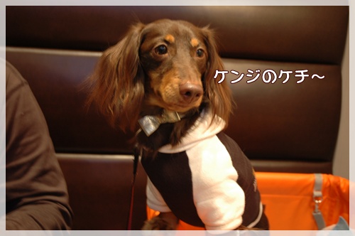 souther_20091024h