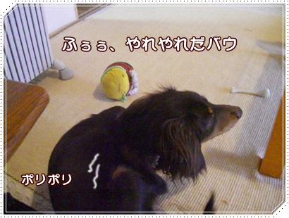 souther_20090228h
