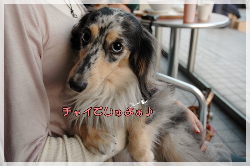 souther_20091111b