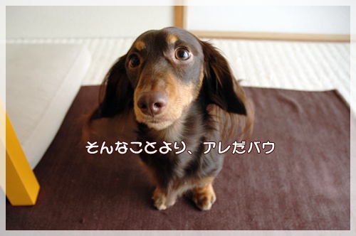 souther_20091108c
