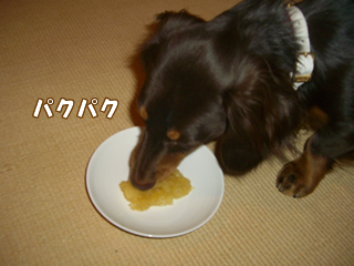 souther_20081228c