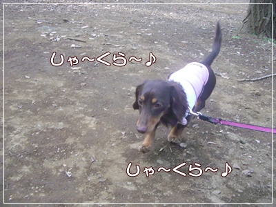 souther_20090409c