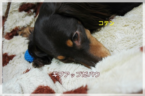 souther_20091112f