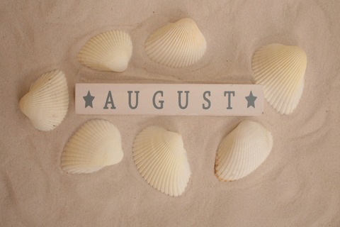 august-3356763_1280