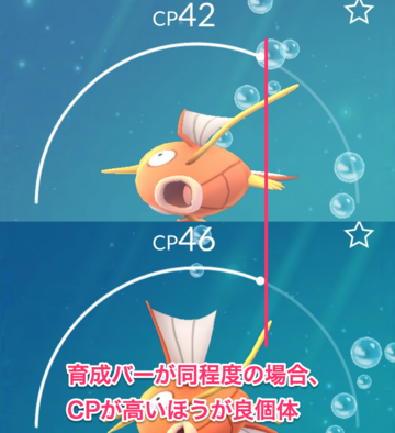 ポケモンgo マジで個体値に拘る意味ある のんのんアニメまとめ