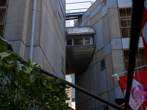 20230729-R0046319