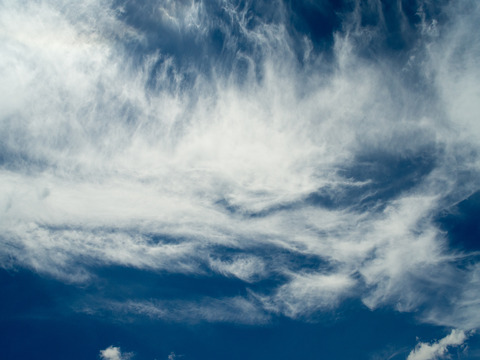 20240724-R0047282