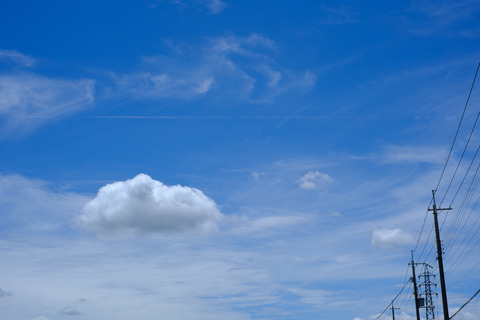 DSCF1545