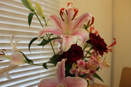 IMG_0743.jpg