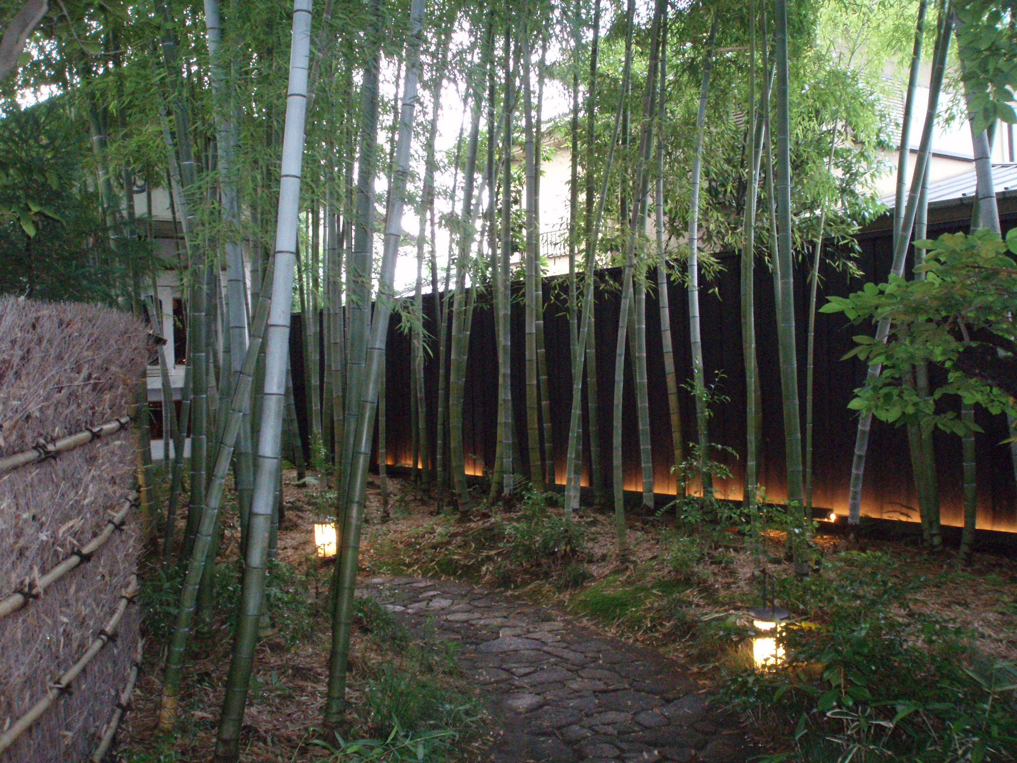 井中居