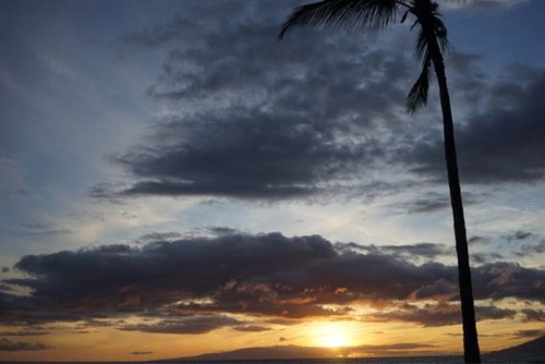 slooProImg_20150619183217