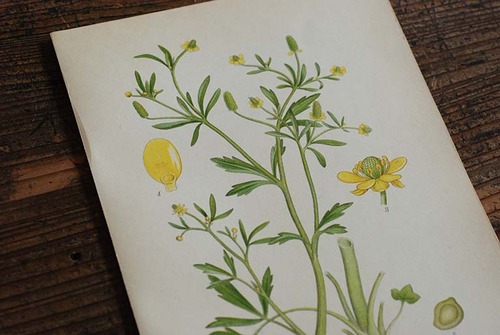 70ca99a3d3ee06bde5498dfb825a1863