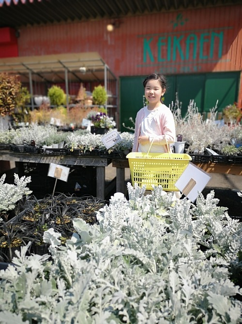 IMG_20200409_131331_1