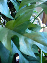 3d7579e5.jpg