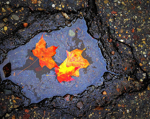 puddle