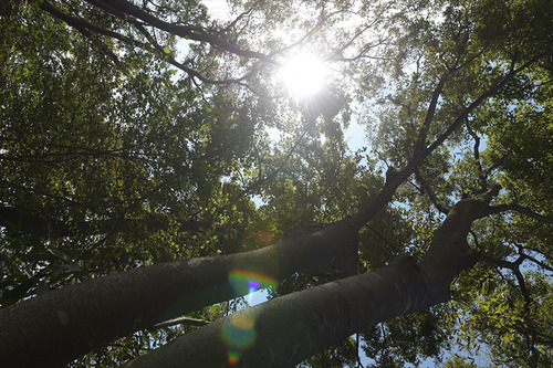 24b9b7168b9b781612d9f0024b5b6e5c