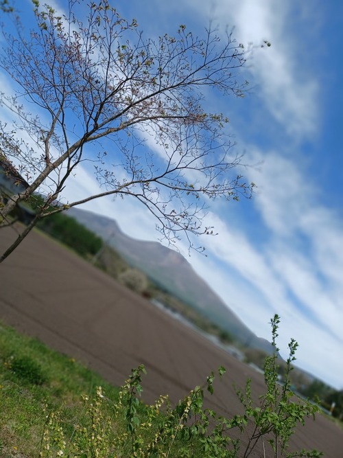 BandPhoto_2021_05_10_13_45_32